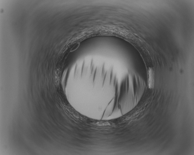 X0000086091491200704091313