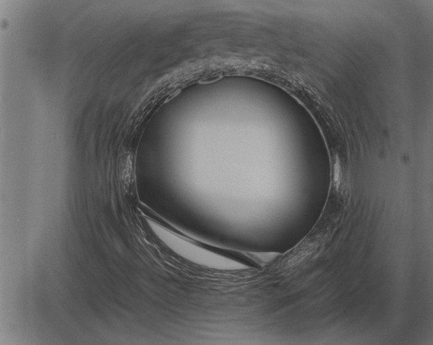 X0000086091492200704091313