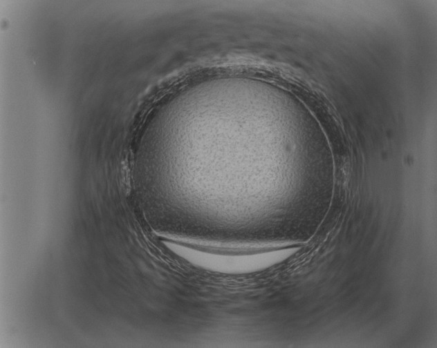 X0000086091493200704091313