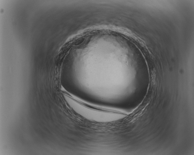 X0000086091494200704091313