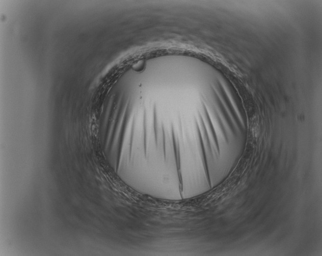 X0000086091495200704091313