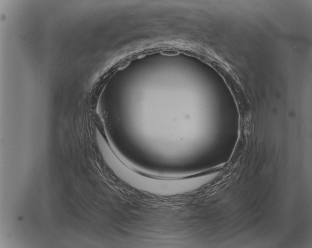 X0000086091496200704091313