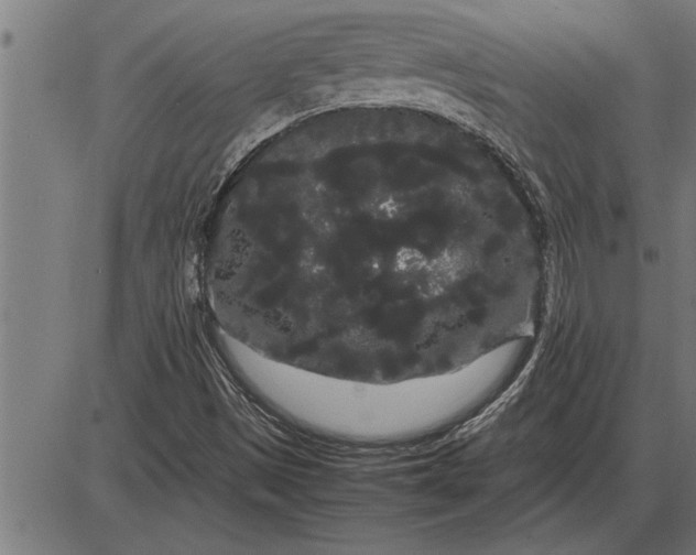 X0000086091497200704091313