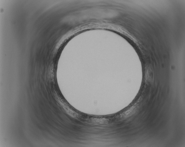 X0000086091498200704091313