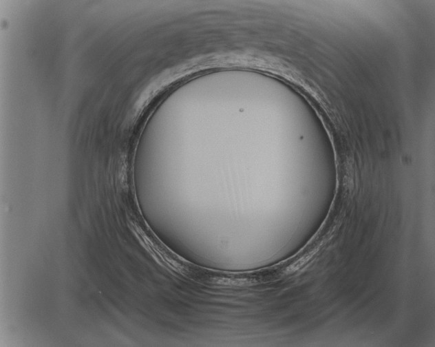 X0000086091499200704091313