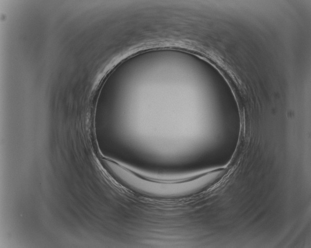 X0000086091500200704091313