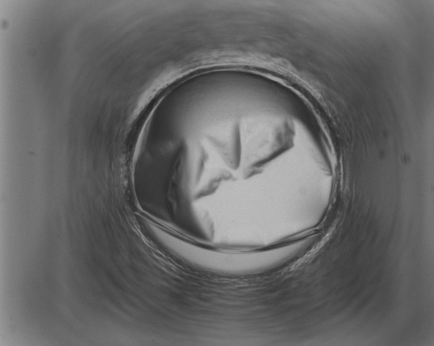 X0000086091501200704091313