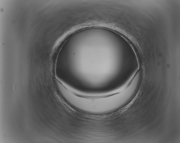 X0000086091502200704091313