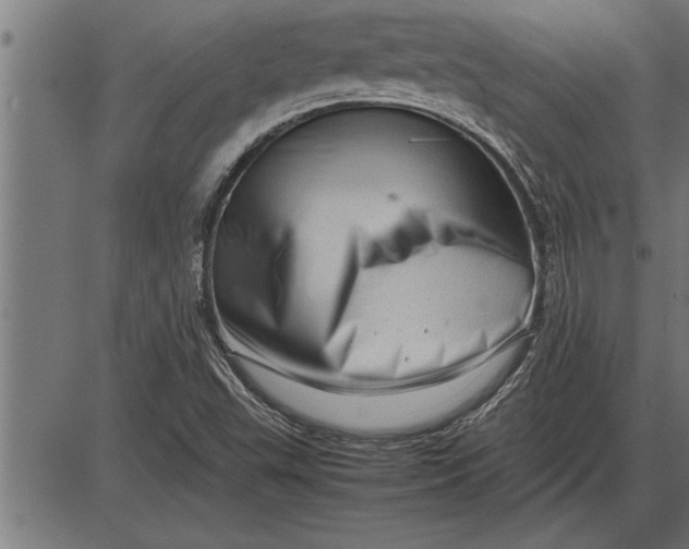 X0000086091503200704091313