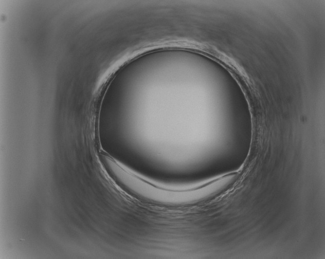 X0000086091504200704091313