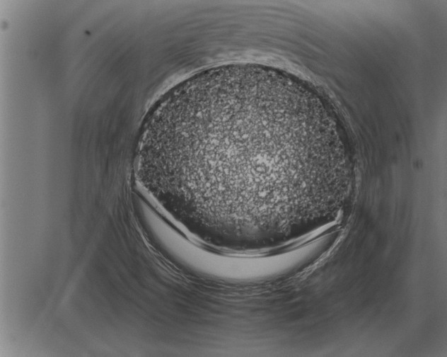 X0000086091505200704091313