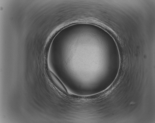 X0000086091506200704091313