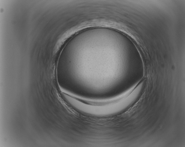 X0000086091507200704091313