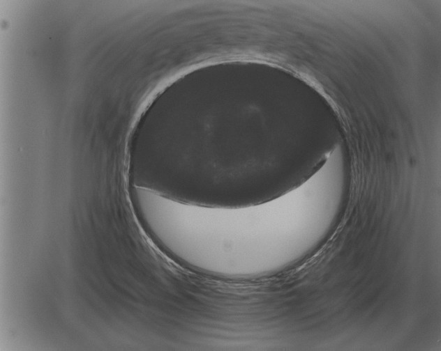 X0000086091508200704091313