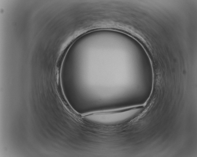 X0000086091509200704091313