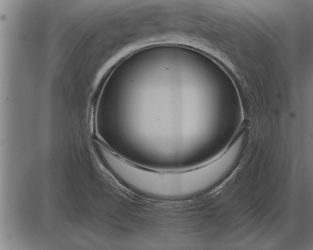 X0000086091510200704091313