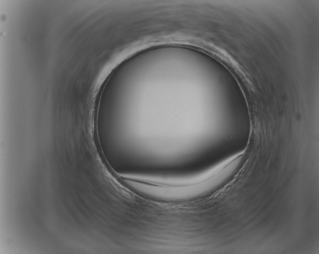 X0000086091512200704091313