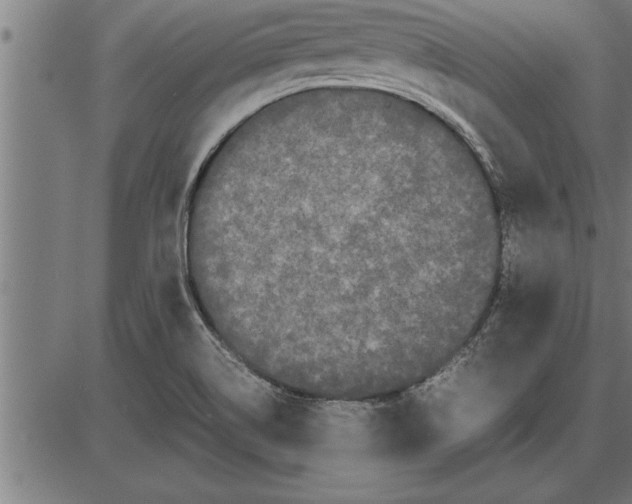 X0000086091514200704091313