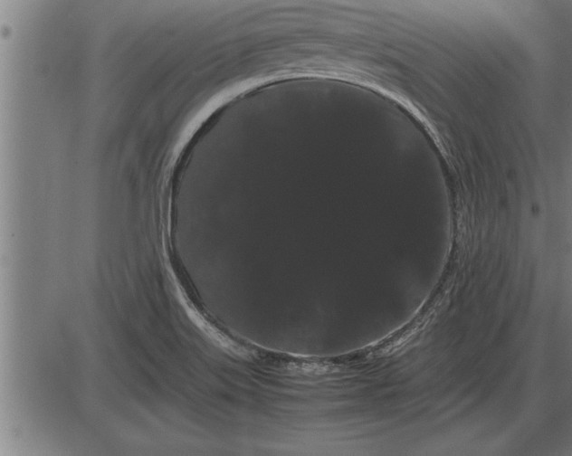 X0000086091515200704091313