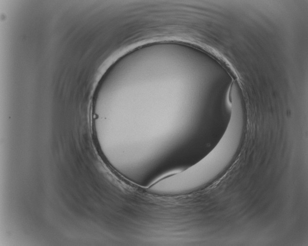 X0000086091516200704091313