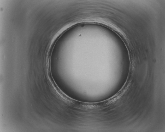 X0000086091517200704091313