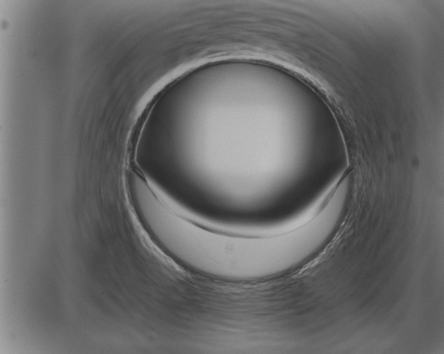 X0000086091518200704091313