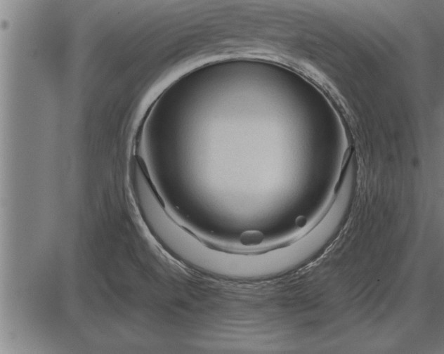 X0000086091520200704091313