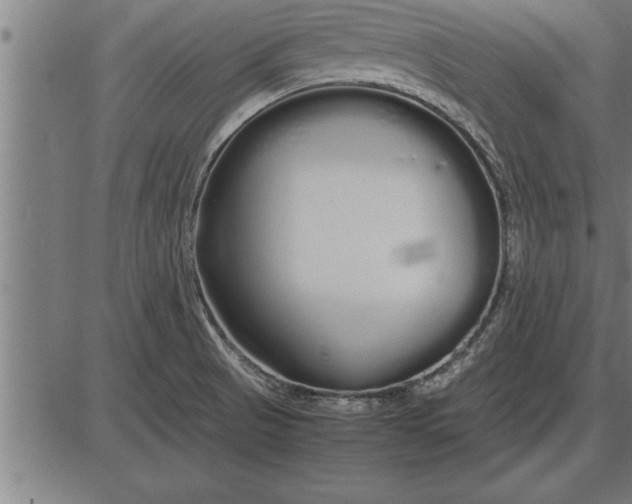 X0000086091521200704091313