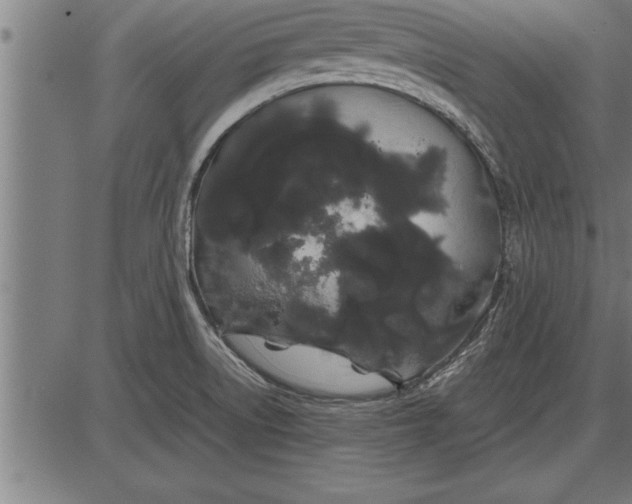 X0000086091522200704091313