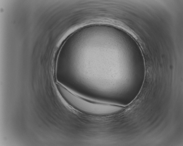 X0000086091523200704091313