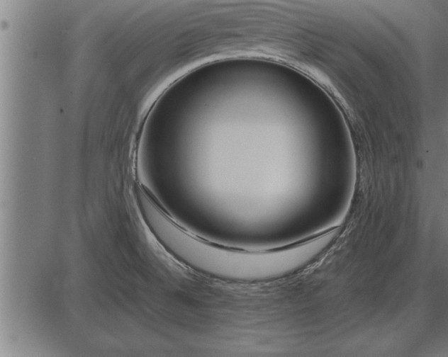 X0000086091524200704091313