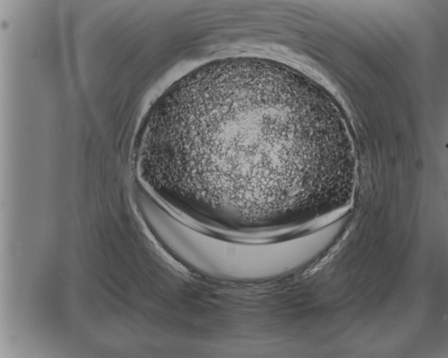 X0000086091525200704091313