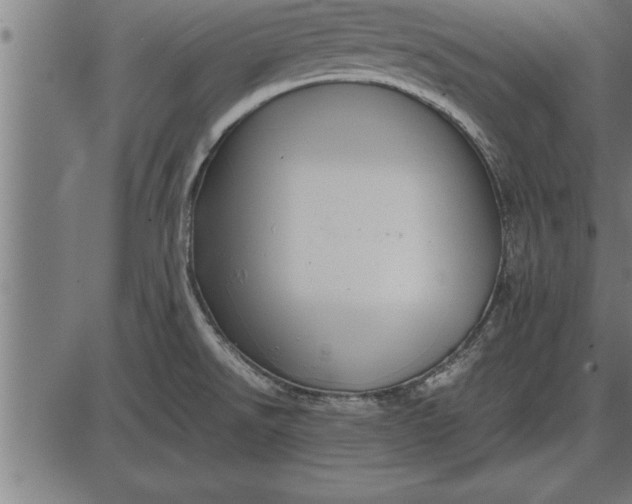 X0000086091526200704091313