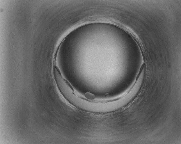 X0000086091528200704091314