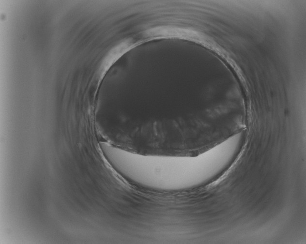 X0000086091529200704091314