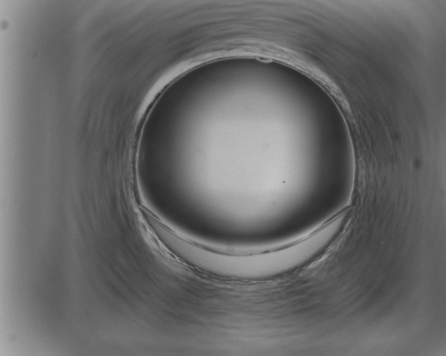 X0000086091530200704091314