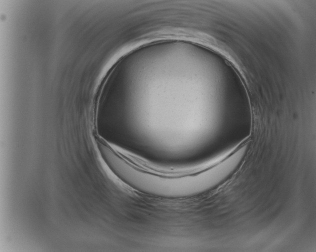 X0000086091531200704091314