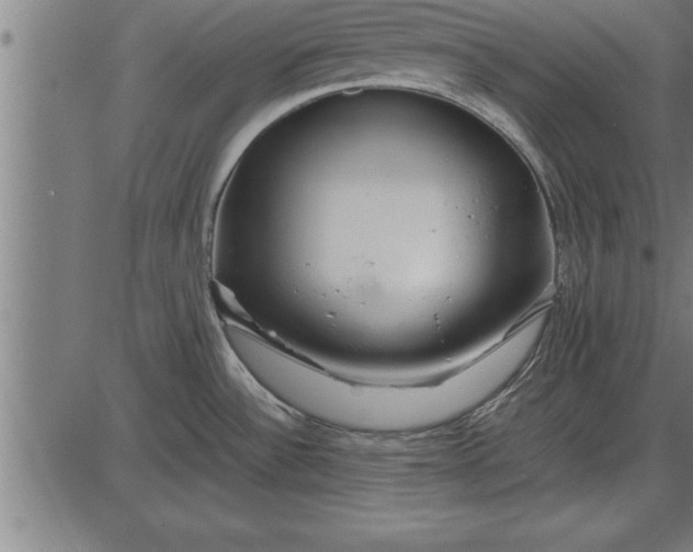 X0000086091532200704091314