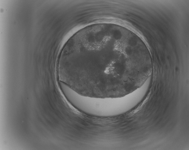 X0000086091533200704091314