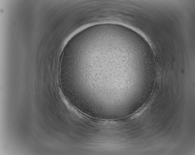 X0000086091534200704091314