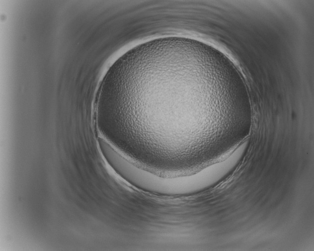 X0000086091535200704091314