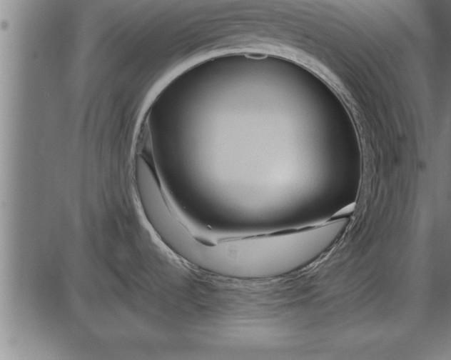 X0000086091536200704091314