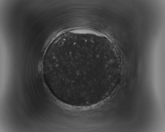 X0000086090002200704132135