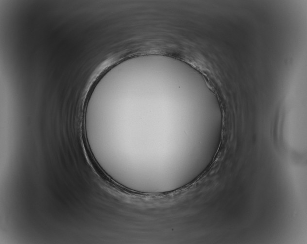 X0000086090003200704132135