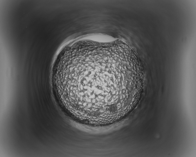 X0000086090006200704132135