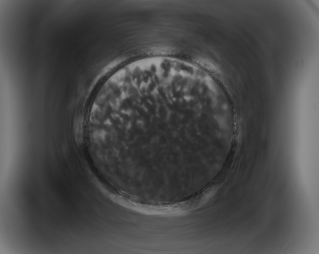 X0000086090012200704132135