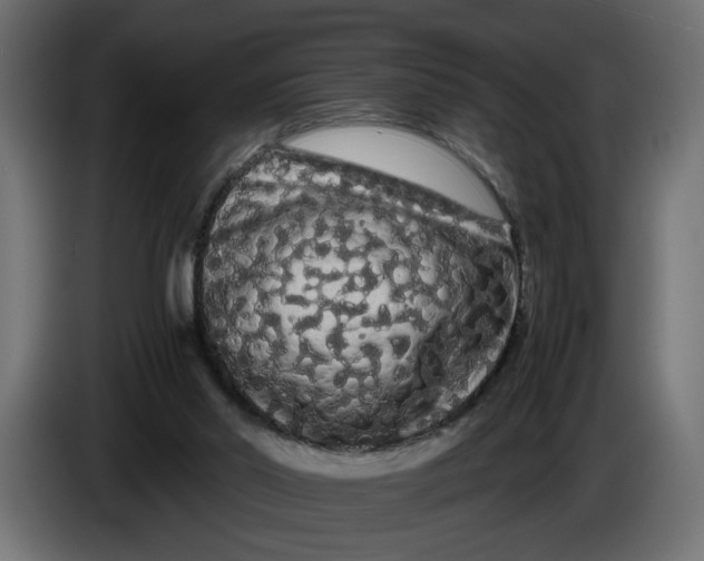 X0000086090014200704132135