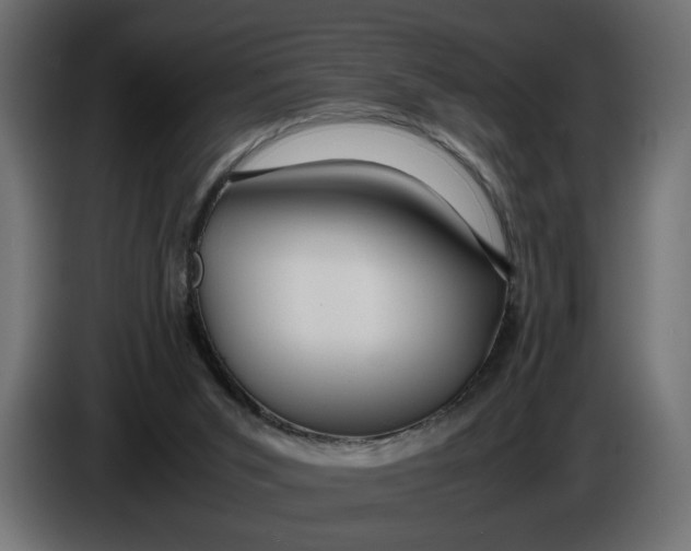 X0000086090015200704132135