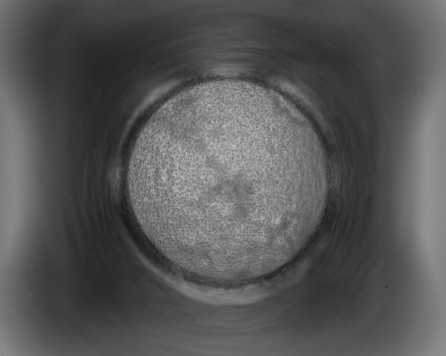 X0000086090016200704132135