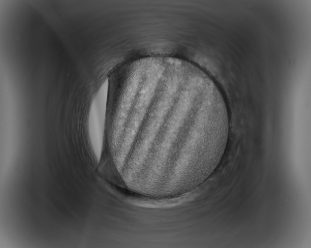 X0000086090017200704132135